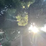 Lägenhet Estupendo Duplex A 5 Min Andando De La Playa *