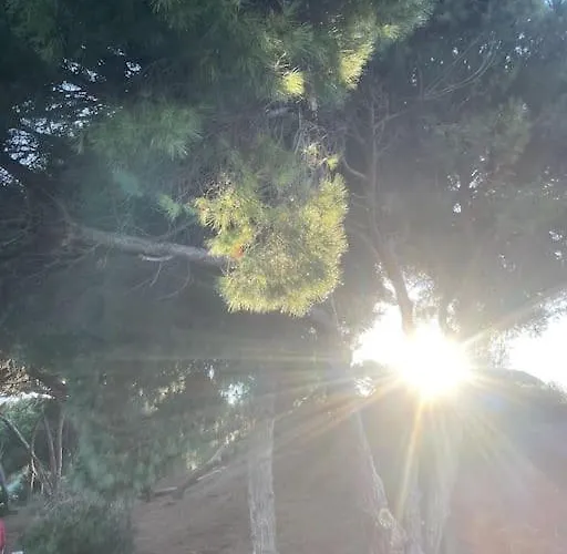 アパート Estupendo Duplex A 5 Min Andando De La Playa *